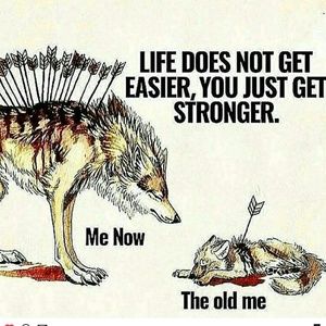 Meet your Posher, Henry